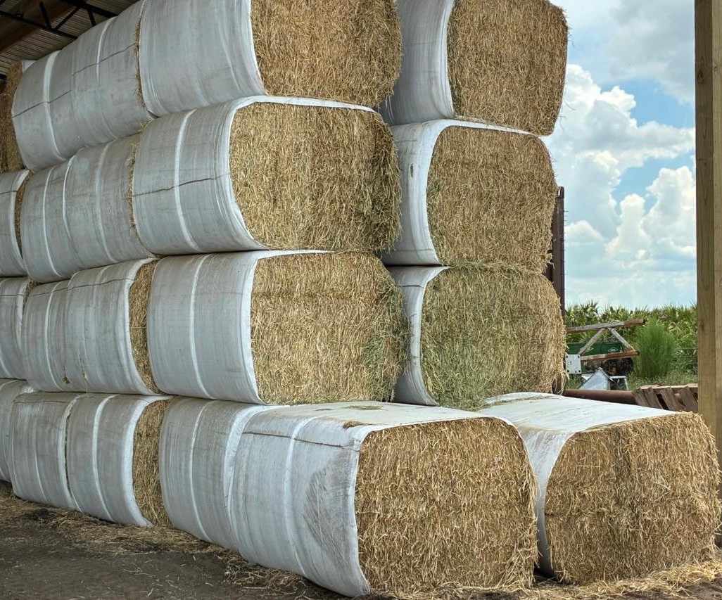 Alfalfa hay & pellets