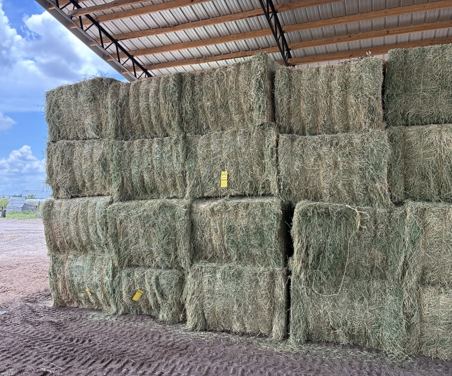 Stacks of Gator Feed alfalfa hay in the feed barn